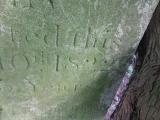 image of grave number 564266